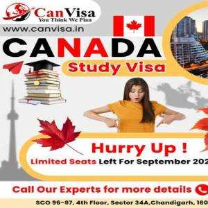 Can Visa Consultant